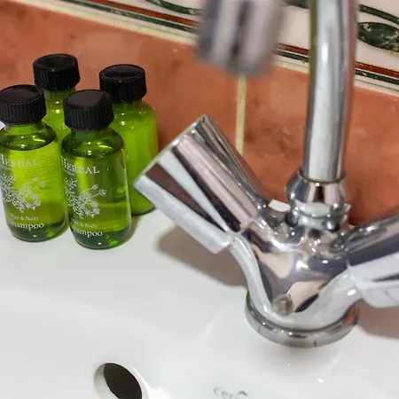 Avangard Shashkevycha 3 * Lviv