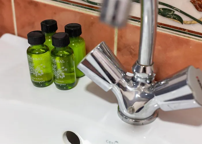 Avangard Shashkevycha 3 * Leópolis